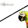 A Walking Stick With Parrot Handle