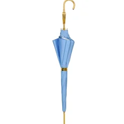 Blue Royalty: Light Blue Umbrella with Elegant Gold Handle