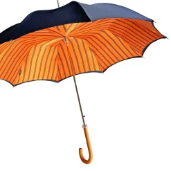 Elegant Man's umbrella with orange ostrich leather handle