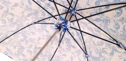 Elegant Parasol With Blue Design On White Background