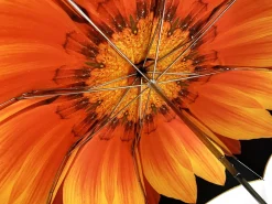 Exclusive umbrella Sunflower design