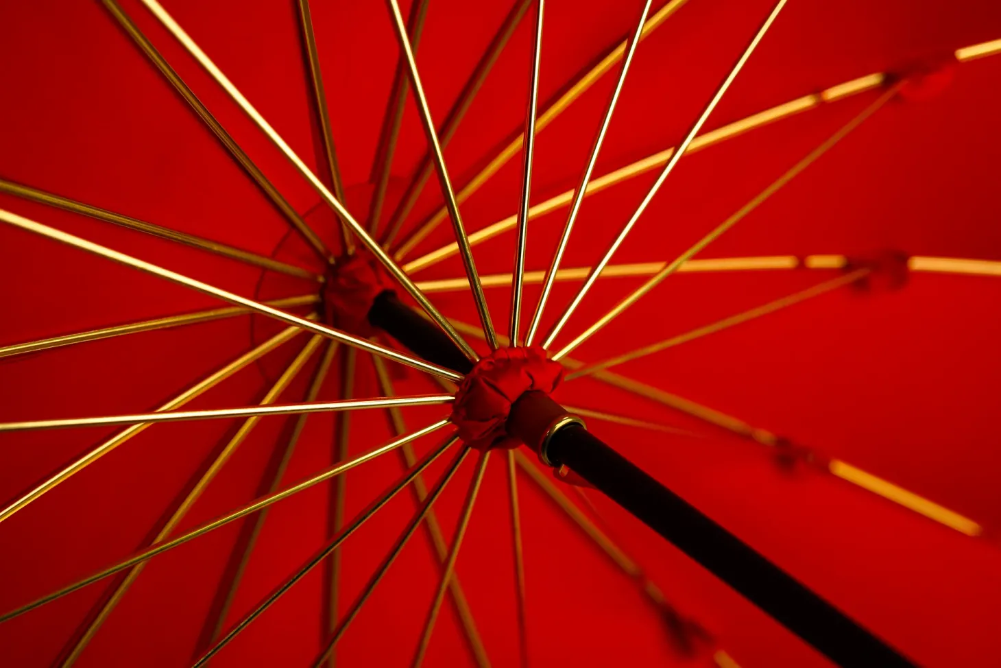 LIMITED COLLECTION - Exclusive Red Umbrella with Jeweled Panther Handl