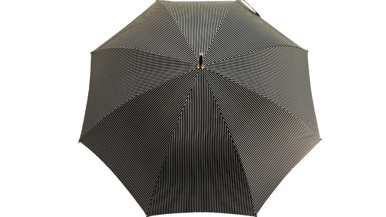 Luxurious Enameled Dog Luxury men's Umbrella