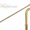 Luxury Gold plated 24K walking stick encrusted with thousands of ameth