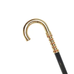 Special Walking stick with crook handle