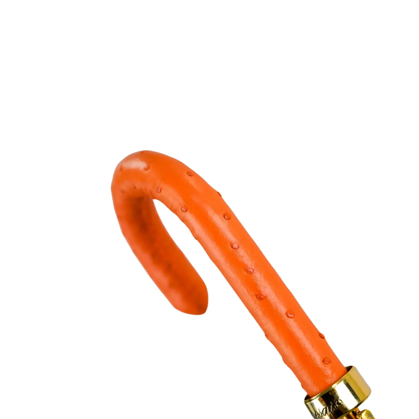 The Noble Ride – Artisanal Umbrella with Ostrich Touch