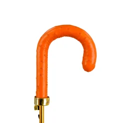 The Noble Ride – Artisanal Umbrella with Ostrich Touch