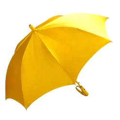 Umbrella with Painted Canvas Style Fabric - Leather handle
